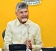 Chandrababu Naidu AP Electricity Reforms a Model for the Nation