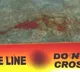 Married woman fatally stabbed 17 times by lover in Bengaluru; techie arrested