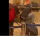 Kunal Jain exposes Indian student mistreatment at US airport