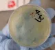 Another Chinese national arrested for smuggling 'roundworms' into US University of Michigan