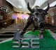 Indian stock market ends flat as consolidation phase continues