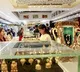 Gold ETFs rebound in May, record net inflow of Rs 292 crore