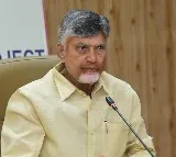 CM Chandrababu orders strict action against criminals