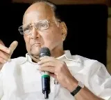Sharad Pawar Distressed by NCP Split Never Imagined It