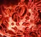 Top 10 Cancers Affecting Indians Most Commonly