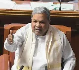 K'taka CM asks Andhra govt to lift Totapuri mango import ban, warns of reciprocal action