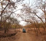 27 wildlife sanctuaries in Gujarat closed to tourists till Oct 15