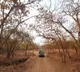 27 wildlife sanctuaries in Gujarat closed to tourists till Oct 15