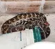 KGBV School Toilet Huge Python Creates Panic in Hanumakonda
