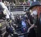 Los Angeles Immigration Protests Over 400 Arrested