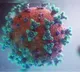 Balaram Bhargava No Need to Worry About New COVID Variant