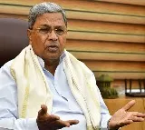 Siddaramaiah Demands AP Lift Ban on Totapuri Mangoes