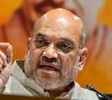 Amit Shah speaks to Gujarat CM after plane crash