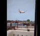 Air India Flight 171 crash Experts suspect bird strike