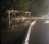 Hyderabad Heavy Rain Disrupts City Life