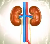 Prior Covid vaccination proved beneficial for acute kidney injury patients: Study