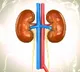 Prior Covid vaccination proved beneficial for acute kidney injury patients: Study