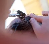 Odisha Love Marriage 40 Men Forced to Shave Heads for Love Marriage
