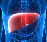Study shows alcohol-linked liver deaths rising in women, young adults