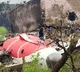 Ahmedabad Plane Crash Kills Boy Sleeping Under Tree