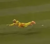 Faf du Plessis Stunning One Handed Catch in MLC 2025