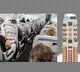 Boeing 11A Seat Saved Life in Ahmedabad Crash