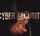 'Cyber Suraksha' exercise launched to strengthen national cyber resilience