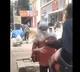 Bengaluru Rapido Driver Slaps Woman