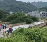 Floodwater Carries Huge Tree Away Viral Video