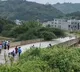 Floodwater Carries Huge Tree Away Viral Video