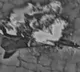 Israel Releases Video of Attacks on Tehran