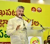 Chandrababu Naidus Interesting Comments on TDP Activists