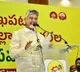 Chandrababu Naidus Interesting Comments on TDP Activists