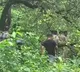 Goa Boyfriend Sanjay Kevin M Kills Girlfriend Roshni Moses in Forest