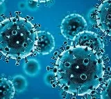 Coronavirus New Omicron Subvariants Identified in India
