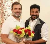 ‘Hope of India’: Telangana CM, Dy CM greet Rahul Gandhi on birthday