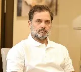 Rahul Gandhi celebrates 55th birthday