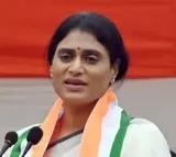 YS Sharmila criticizes Jagan over betting suicides