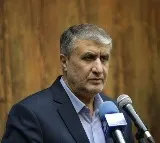 Iran's atomic chief urges IAEA to end 'inaction,' condemn Israeli attacks
