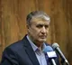 Iran's atomic chief urges IAEA to end 'inaction,' condemn Israeli attacks