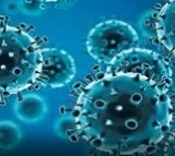 Airborne fungal spores may help predict Covid, flu surge: Study