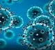Airborne fungal spores may help predict Covid, flu surge: Study