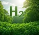 Indian scientists produce green hydrogen by splitting water molecules