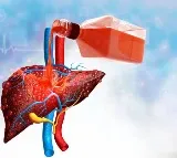 Fatty Liver Disease Cooking Oils May Be Damaging Your Liver