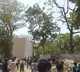 Ahmedabad Air India Plane Crash DNA Samples Incomplete