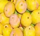 Centre announces compensation for K'taka mango farmers; Union Minister Joshi thanks PM Modi