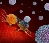 Acrylamide in 5 Common Foods Cancer Risk