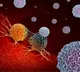 Acrylamide in 5 Common Foods Cancer Risk