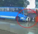 Kerala Bus Accident Three Women Injured at Bus Stop