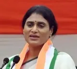 YS Sharmila Says Only Congress Can Challenge BJP